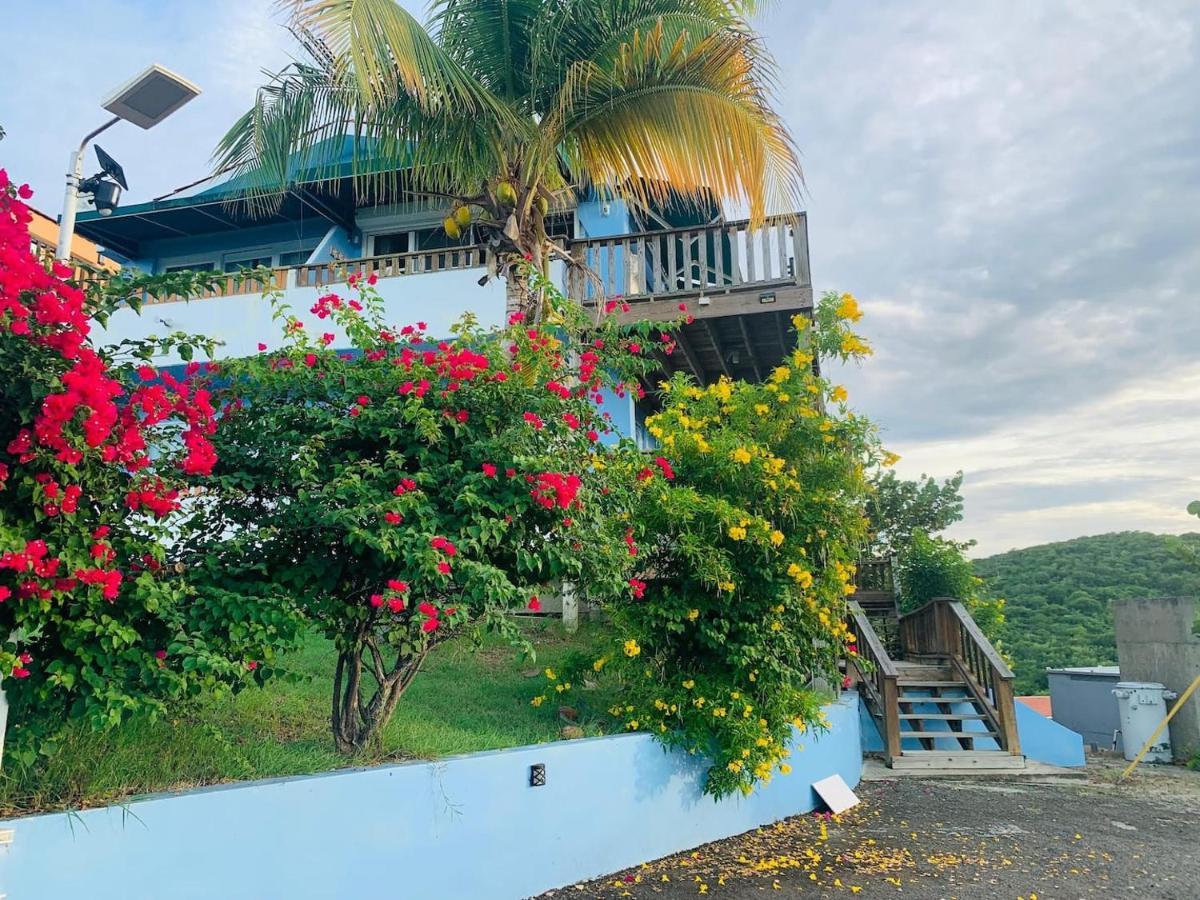 קולברה Coqui Beach Home, Culebra מראה חיצוני תמונה