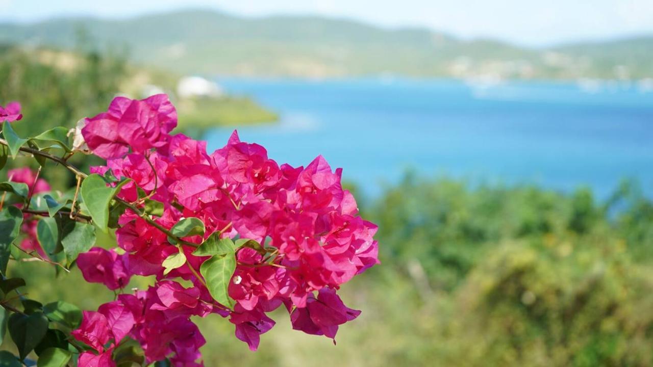 קולברה Coqui Beach Home, Culebra מראה חיצוני תמונה