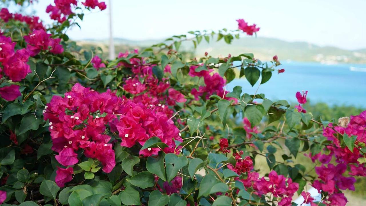 קולברה Coqui Beach Home, Culebra מראה חיצוני תמונה