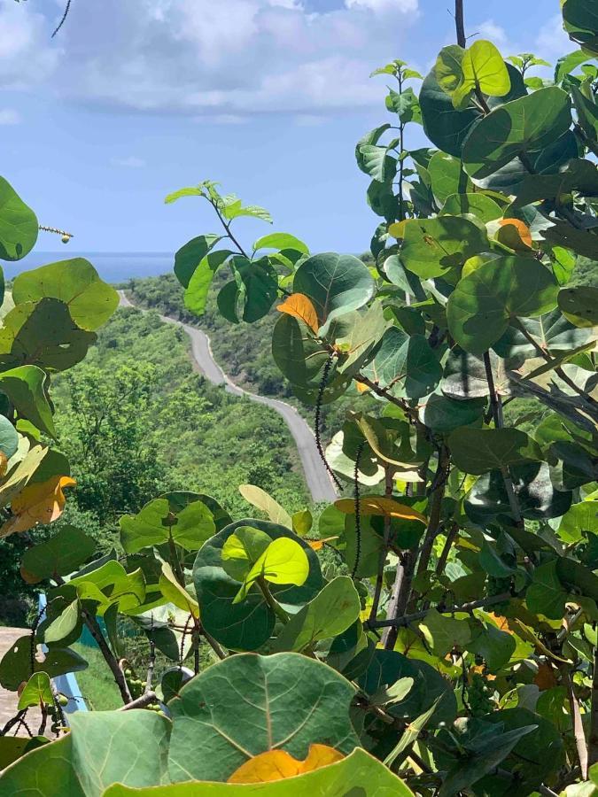 קולברה Coqui Beach Home, Culebra מראה חיצוני תמונה