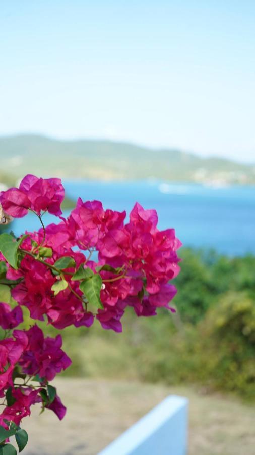 קולברה Coqui Beach Home, Culebra מראה חיצוני תמונה