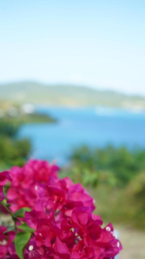 קולברה Coqui Beach Home, Culebra מראה חיצוני תמונה