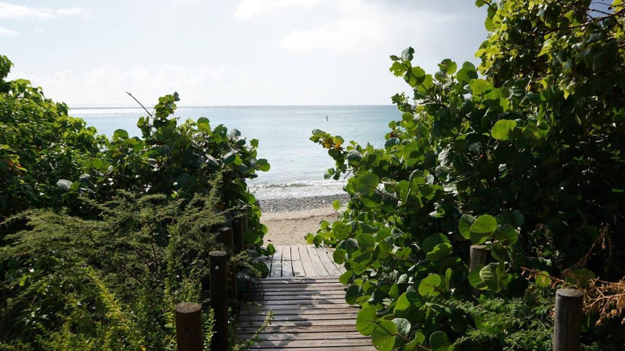 קולברה Coqui Beach Home, Culebra מראה חיצוני תמונה