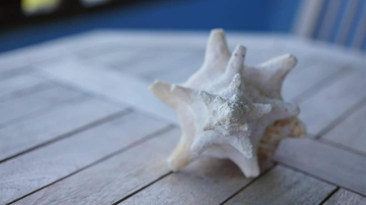 קולברה Coqui Beach Home, Culebra מראה חיצוני תמונה